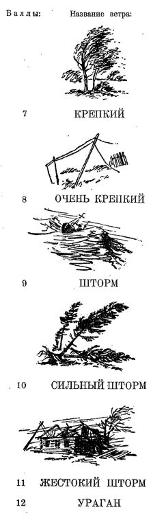 Лесная газета. Лесная газета №8. Месяц полных кладовых.